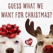 Guess What We Want for Christmas?